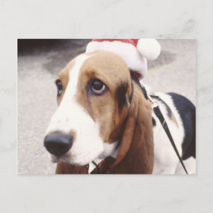 Cartes Pour Fêtes Annuelles Basset Hound à Santa Hat