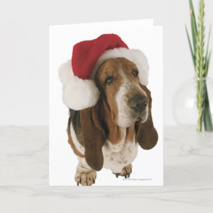 Cartes Pour Fêtes Annuelles Basset Hound dans le casquette de Père Noël