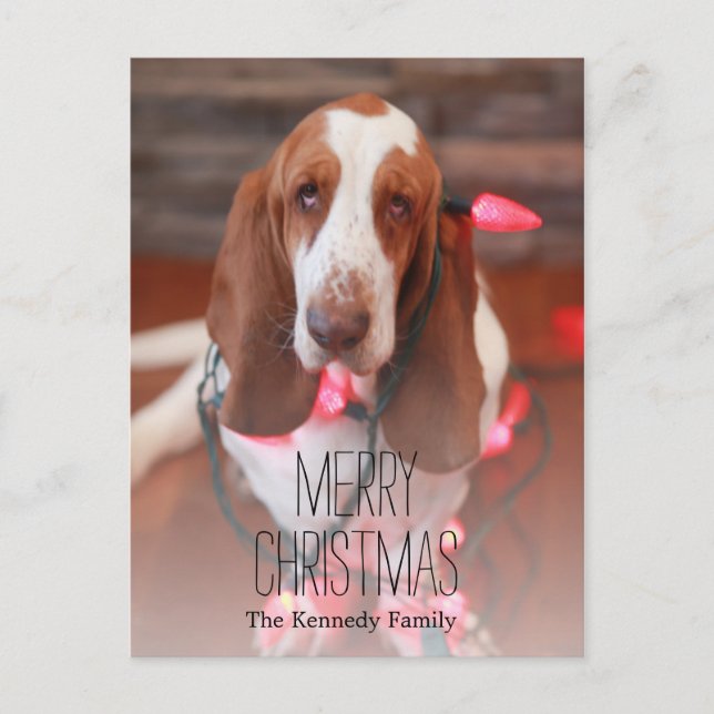 Cartes Pour Fêtes Annuelles basset hound, noël, lumières de Noël (Devant)