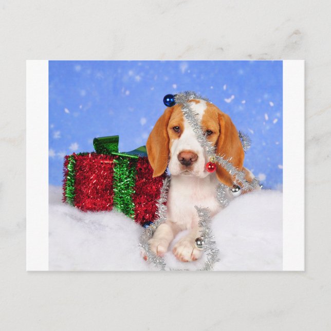 Cartes Pour Fêtes Annuelles Beagle Jingle (Devant)