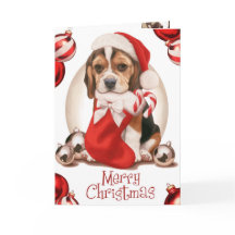 Beagle Noël Puppy