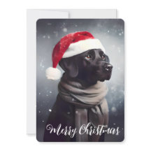 Beau Black Lab Père Noël Noël