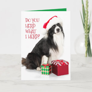 Cartes Pour Fêtes Annuelles Beau Border Collie de berger et cadeaux de Noël