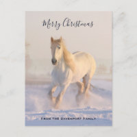 Beau Cheval blanc dans la neige Photo Noël
