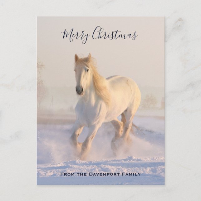 Cartes Pour Fêtes Annuelles Beau Cheval blanc dans la neige Photo Noël (Devant)