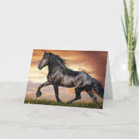 Beau Cheval Noir