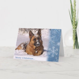 Cartes Pour Fêtes Annuelles Beau chien de berger allemand dans la neige