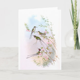 CARTES POUR FÊTES ANNUELLES BEAU HUMMINGBIRDS