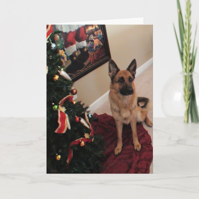 Cartes Pour Fêtes Annuelles Beau Noël de berger allemand (Devant)