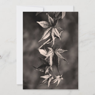 Cartes Pour Fêtes Annuelles Beau Portrait japonais Feuille d'érable Sepia