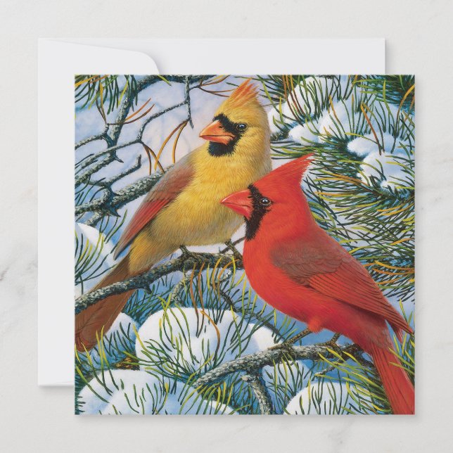 Cartes Pour Fêtes Annuelles Beaux Cardinals Rouges Chic Et Noël De Neige (Devant)