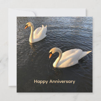 Cartes Pour Fêtes Annuelles Beaux cygnes Anniversaire