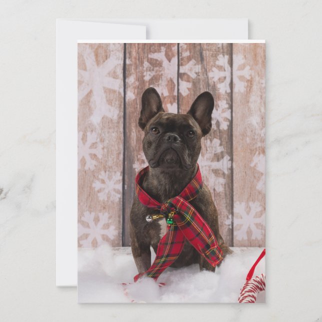 Cartes Pour Fêtes Annuelles Bébé de Frenchie (Devant)