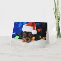 Bébé de Père Noël