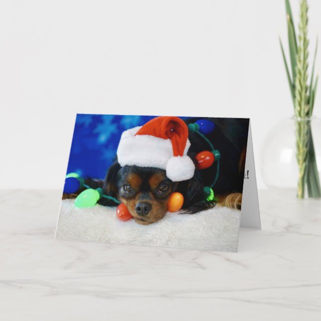 Cartes Pour Fêtes Annuelles Bébé de Père Noël (Devant)