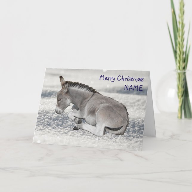 Cartes Pour Fêtes Annuelles Bébé mignon âne à Noël de neige (Devant)
