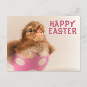 Cartes Pour Fêtes Annuelles Bébé mou poussin à l'oeuf de Pâques