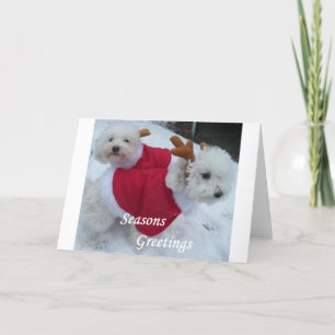 Cartes Pour Fêtes Annuelles Bébés de neige