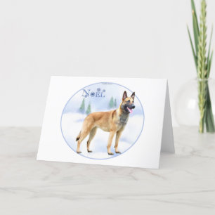 Cartes Pour Fêtes Annuelles Belge Malinois de Noel