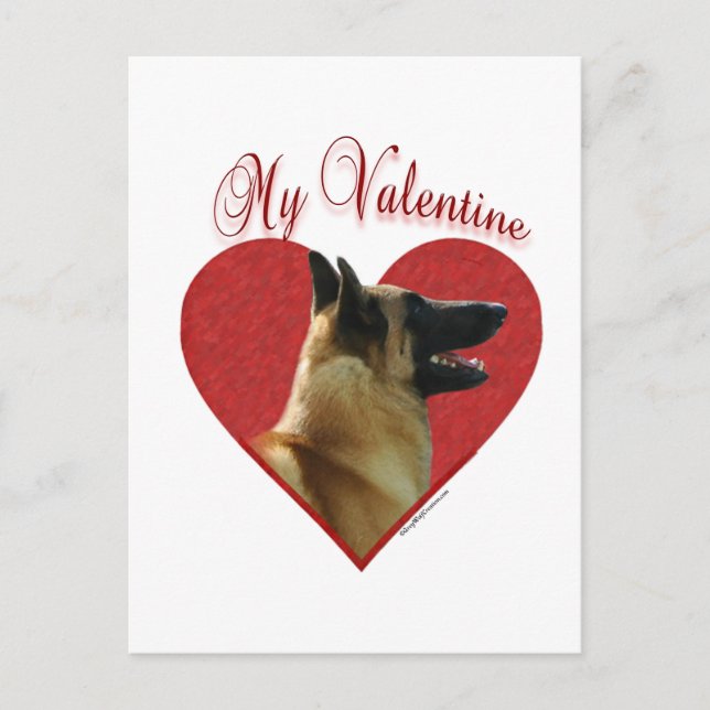 Cartes Pour Fêtes Annuelles Belge Malinois mon Valentine (Devant)