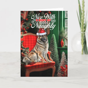 Cartes Pour Fêtes Annuelles Belge Tervuren Chien de Noël Naughty ou Nice