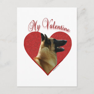 Cartes Pour Fêtes Annuelles Belgian Malinois My Valentine