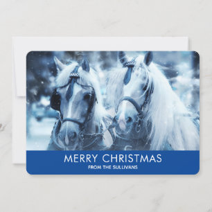 Cartes Pour Fêtes Annuelles Belle équipe Cheval hiver Photo Noël