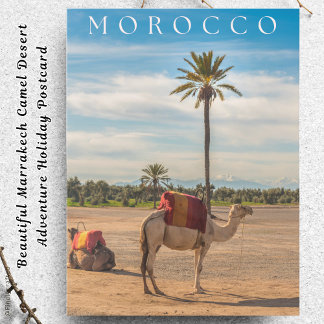 Cartes Pour Fêtes Annuelles Belle Marrakech Camel Desert Adventure