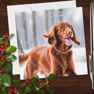Cartes Pour Fêtes Annuelles Belle race de chien roux irlandais Setter Noël