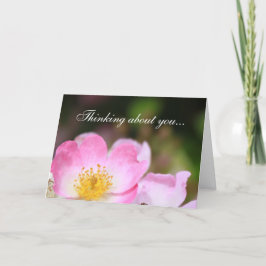 Cartes Pour Fêtes Annuelles belles fleurs de rose sauvage penser à toi
