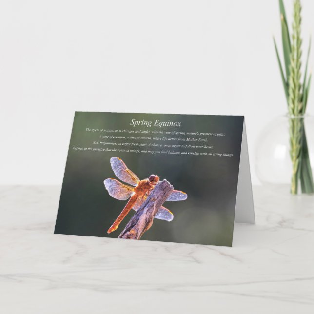 Cartes Pour Fêtes Annuelles Bénédiction de l'équinoxe de printemps de la libel (Devant)