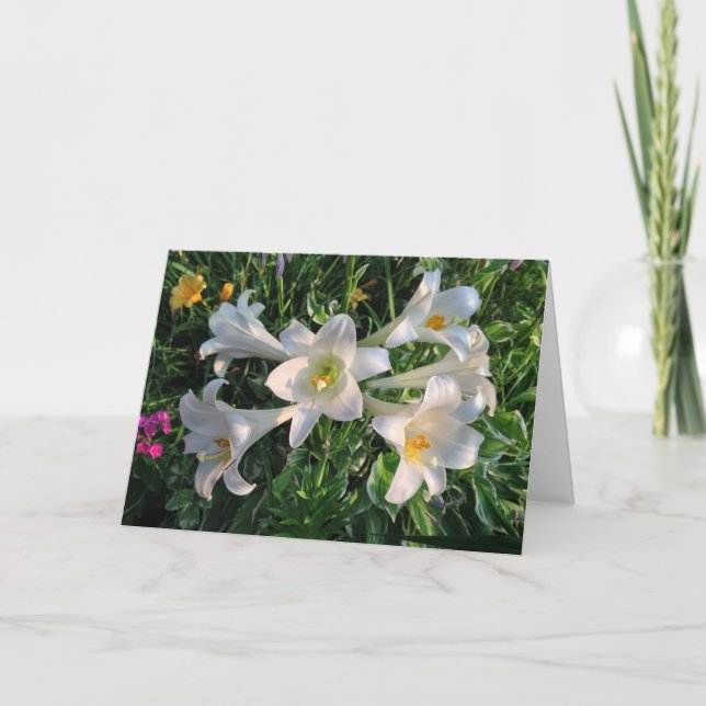 Cartes Pour Fêtes Annuelles Bénédiction de Pâques Fleurs Lys (Devant)