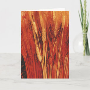 Cartes Pour Fêtes Annuelles Bénédictions abondantes