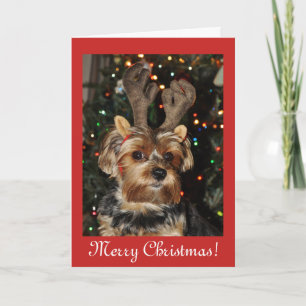 Cartes Pour Fêtes Annuelles Bénédictions de Noël, chiot de chien de terrier de