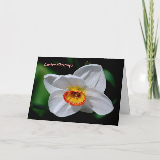 Cartes Pour Fêtes Annuelles Bénédictions de Pâques (Devant)