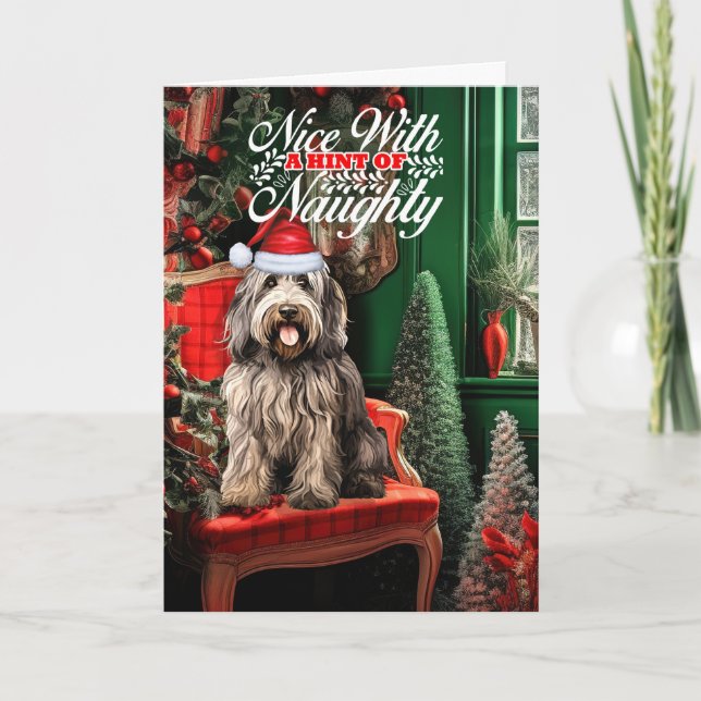 Cartes Pour Fêtes Annuelles Bergamasco Berger Chien de Noël Naughty ou Nice (Devant)