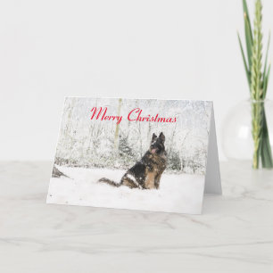 Cartes Pour Fêtes Annuelles Berger allemand dans la neige