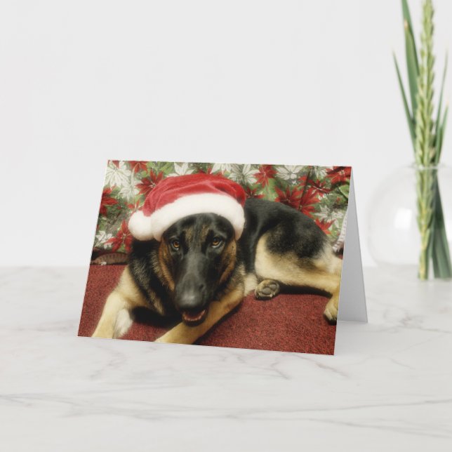 Cartes Pour Fêtes Annuelles Berger allemand - Noël (Devant)
