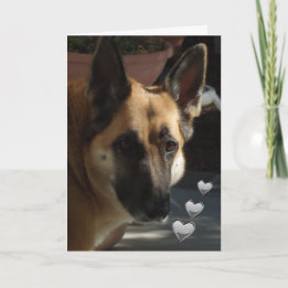 Cartes Pour Fêtes Annuelles Berger Allemand Toujours Turnin' Ma Tête Valentine