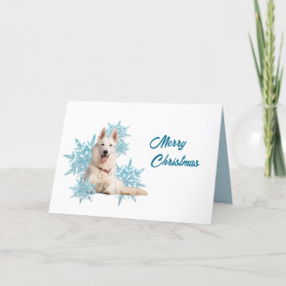 Cartes Pour Fêtes Annuelles Berger Blanc Allemand allongé dans les flocons de 
