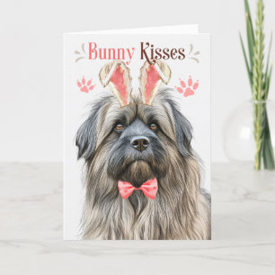 Cartes Pour Fêtes Annuelles Berger des Pyrénées à Bunny Ears pour Pâques