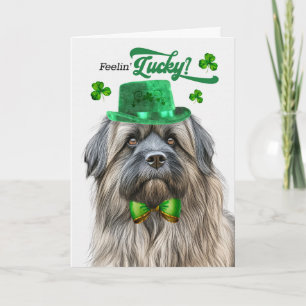 Cartes Pour Fêtes Annuelles Berger des Pyrénées Bonne Saint-Patrick
