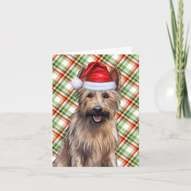 Cartes Pour Fêtes Annuelles Berger Picard Christmas Chien vacances Plaid (Devant)