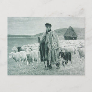 Cartes Pour Fêtes Annuelles Berger vintage & Chien à mouton avec mouton