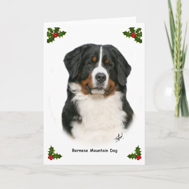 Cartes Pour Fêtes Annuelles Bernese 9Y348D-094 (Devant)