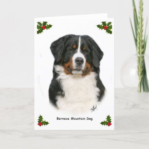 Cartes Pour Fêtes Annuelles Bernese 9Y348D-094
