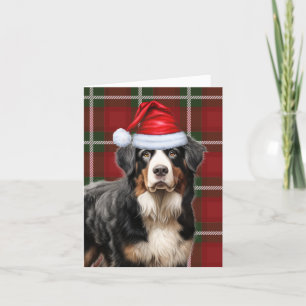 Cartes Pour Fêtes Annuelles Bernese Mountain Dog Noël Jour de Noël Plaid