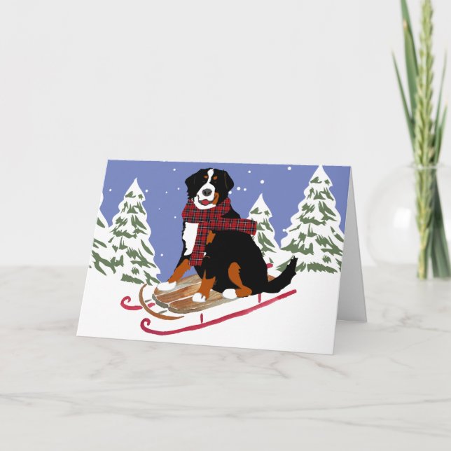 Cartes Pour Fêtes Annuelles Bernois Mt Chien Sled (Devant)