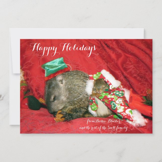 Cartes Pour Fêtes Annuelles Bessie et Bluster Holiday Invitation/Photocard (Devant)