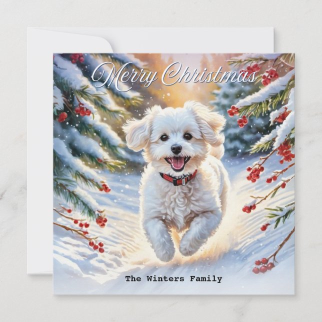 Cartes Pour Fêtes Annuelles Bichon Frise à neige mignonne Chien hiver Noël (Devant)